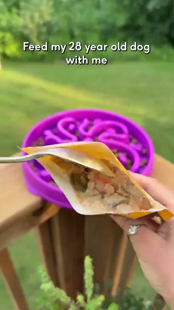 Still from the Native Pet edit: fresh food being served into a dog bowl
